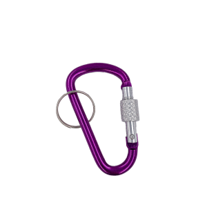 Key Hook with lock #6 