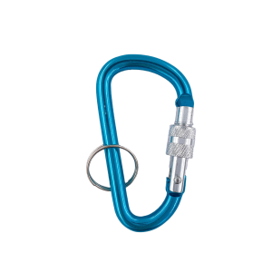 Key Hook with lock #7