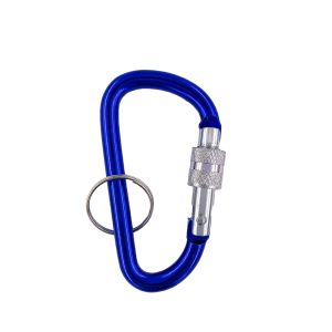 Key Hook with lock #7